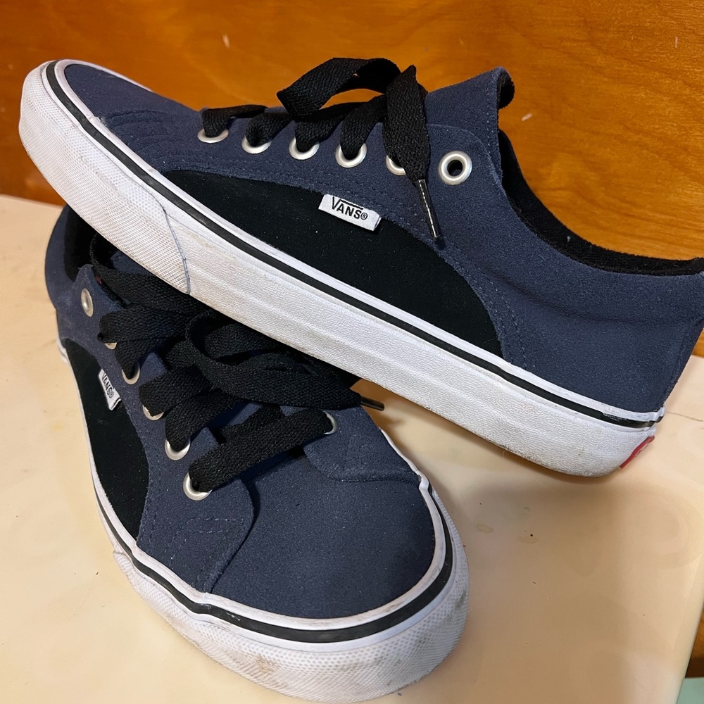 Vans Navy and Black Lampin shoe